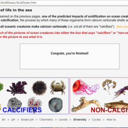 The virtual urchin pt 2 answer key