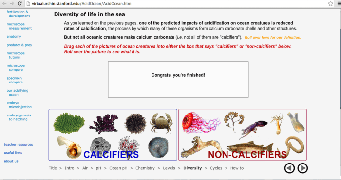 The virtual urchin pt 2 answer key